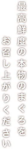 最高鮮度の本物のまぐろを お召し上がりください