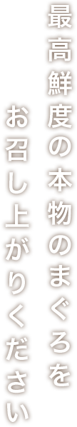 最高鮮度の本物のまぐろを お召し上がりください